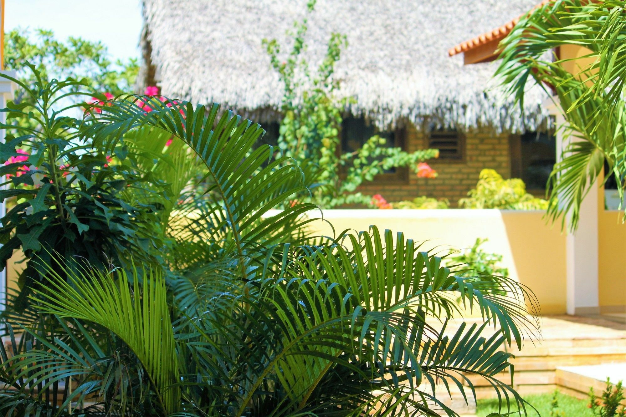 Hotel Villa Beija Flor 日若卡-迪热里科阿科阿拉 外观 照片
